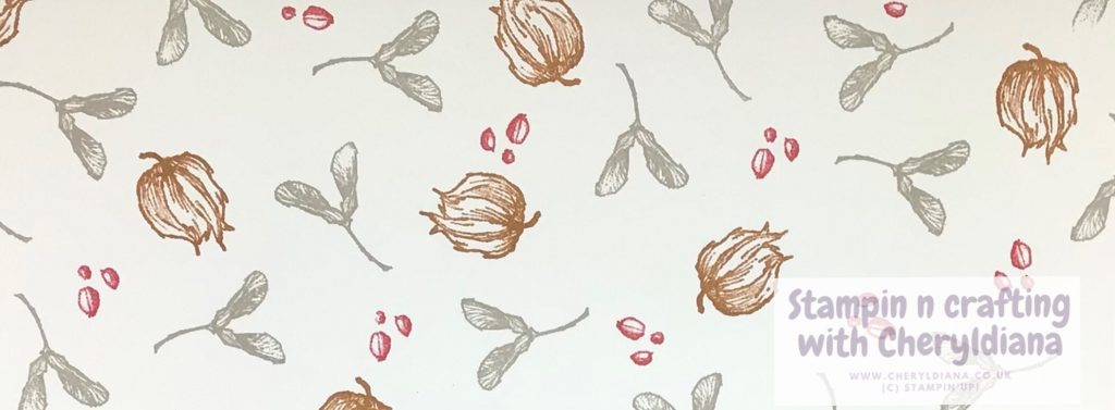 Stamped paper using Real Red, Gray Granite and Cinnamon Cider colours