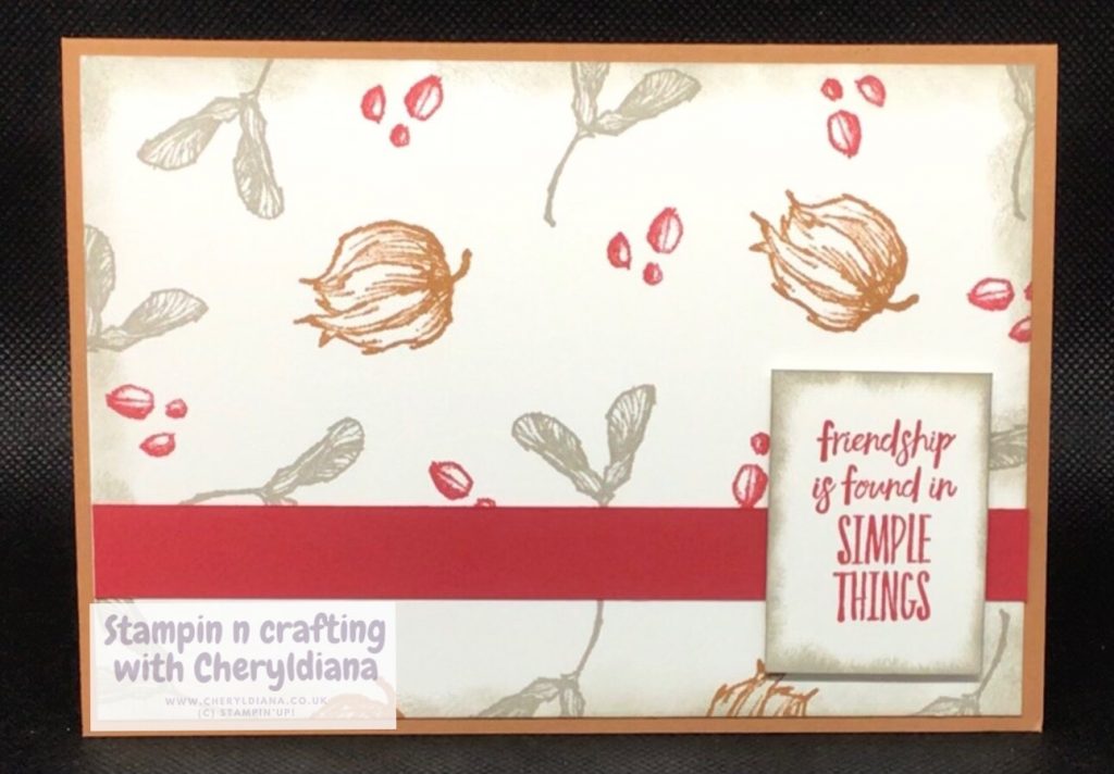 Simple card using Enjoy The Moment and Real Red, Gray Granite and Cinnamon Cider colours