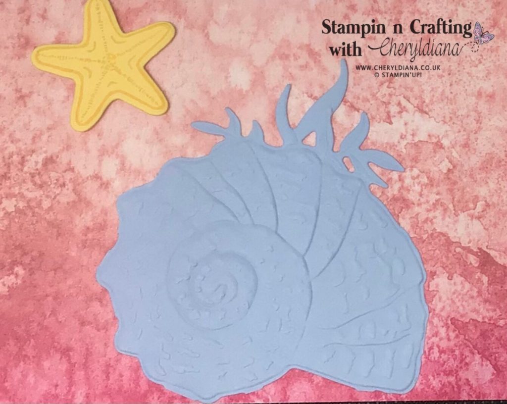 Image showing die cut and embossed shells and stamped starfish 