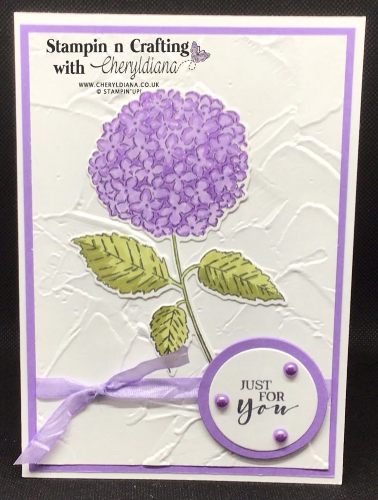 Highland Heather 'Just for You' cards using Hydrangea Haven Bundle