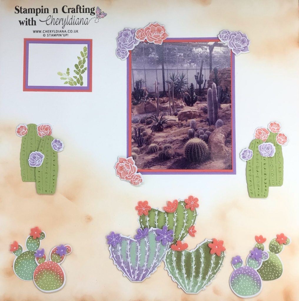 Scrapbook layout using the Flowering Cactus Product Medley