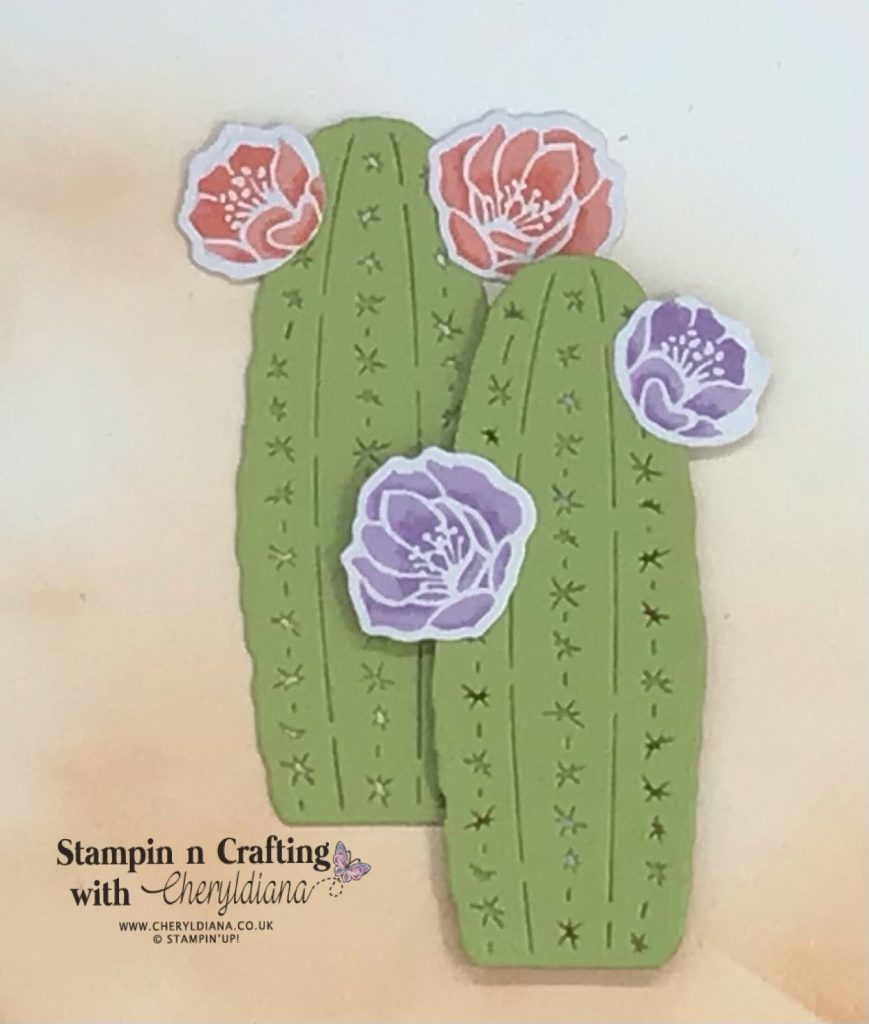 Photograph showing tall die cut cacti and flowers