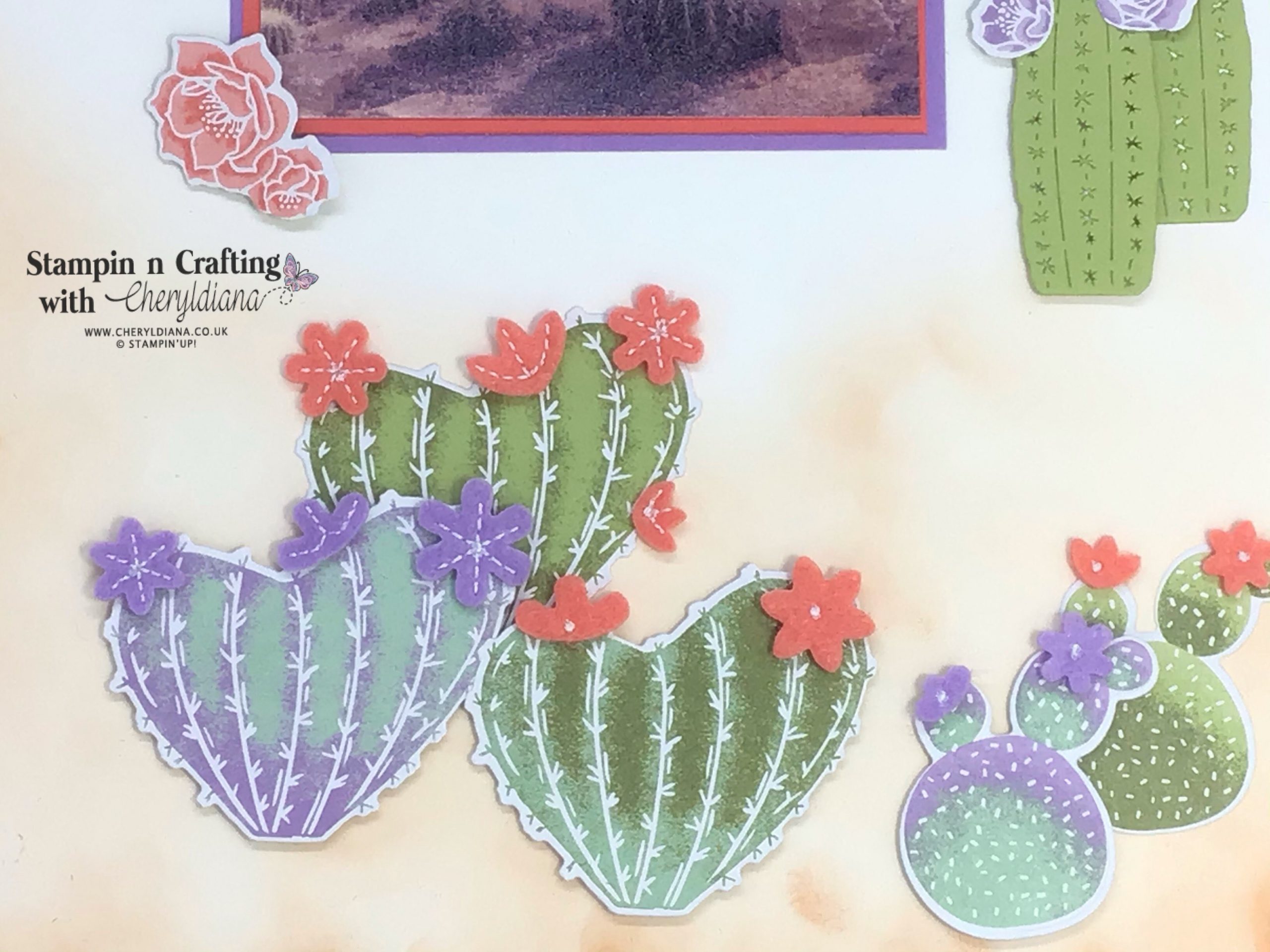 Scrapbook Layout – Flowering Cactus