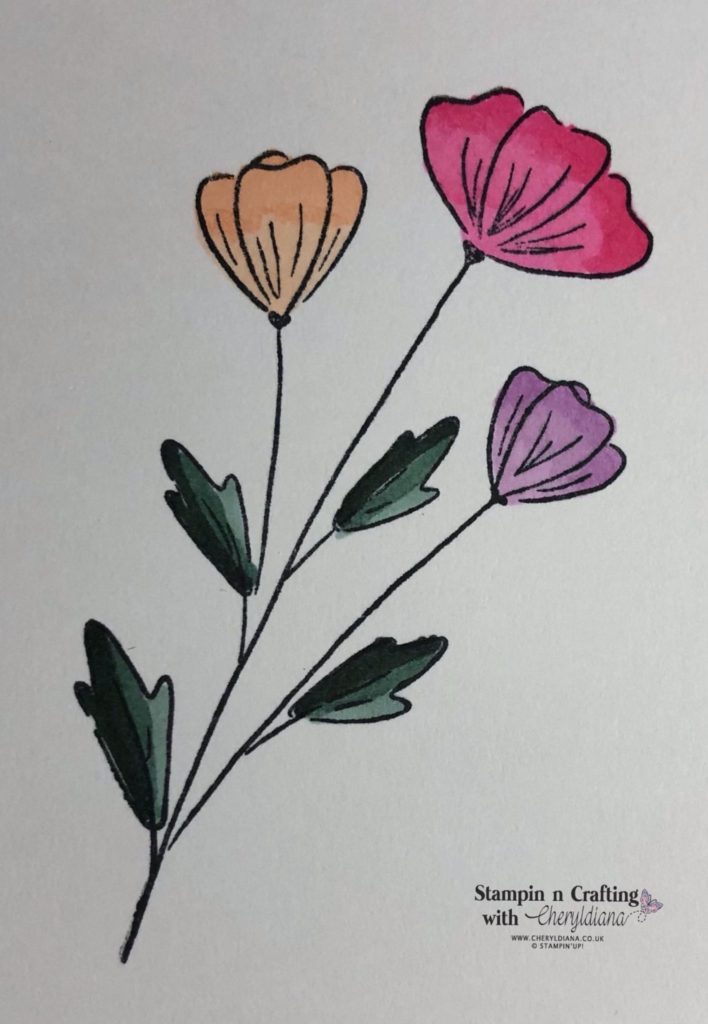 Stamped Flower Image coloured in using Stampin' Blends