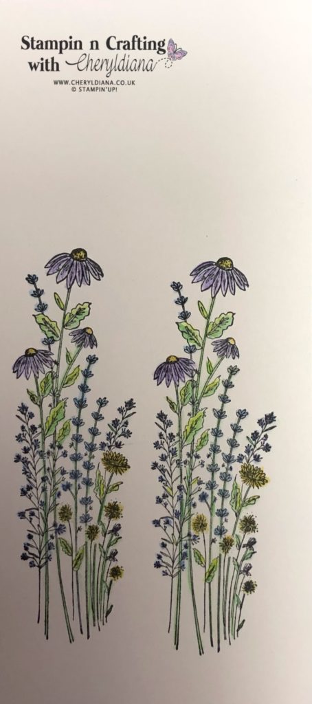 Photo of coloured in stamped flower images.