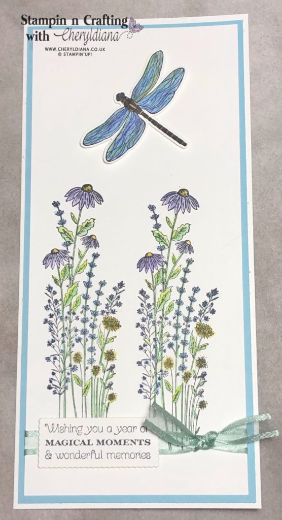 Photo of finished Dragonfly Garden Slim Card