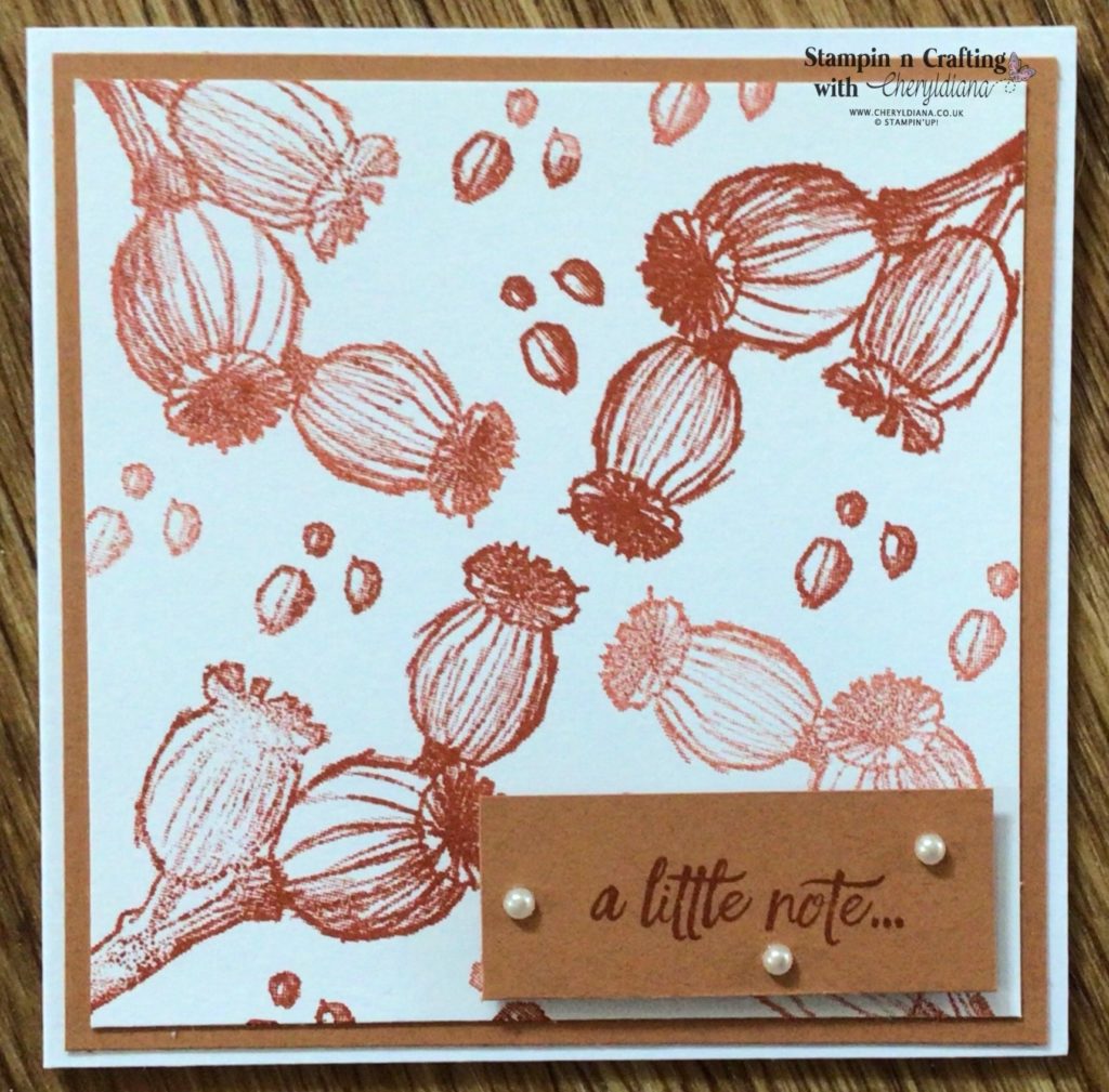 Photo of finished Autumn' a little note' card using a poppy seed head stamped image