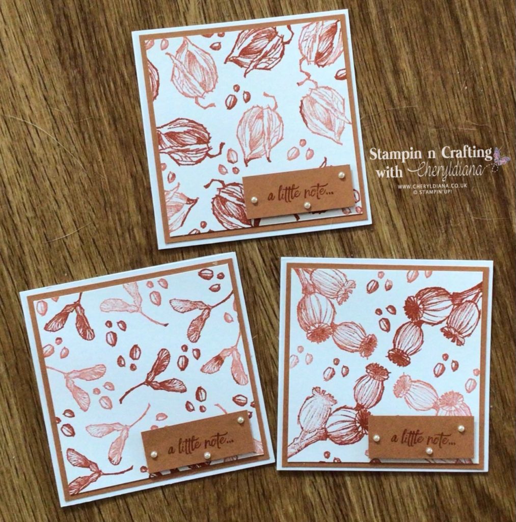 Photo of finished Autumn themed 'a little note' cards