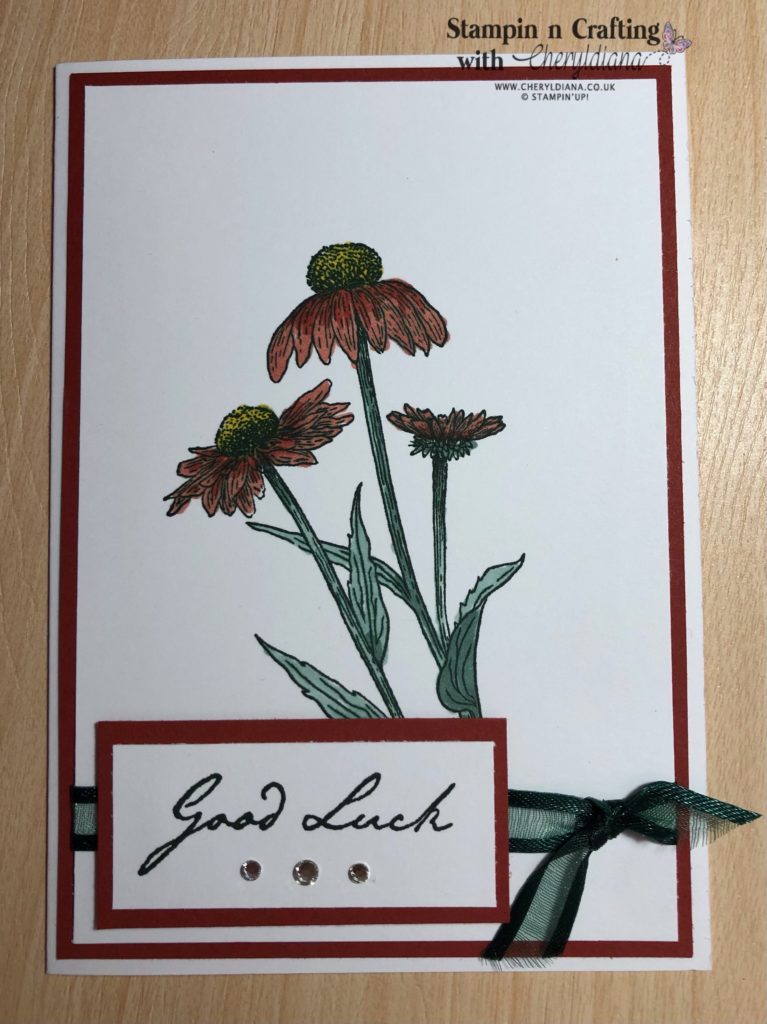 Photo of finished Autumnal Good Luck Card