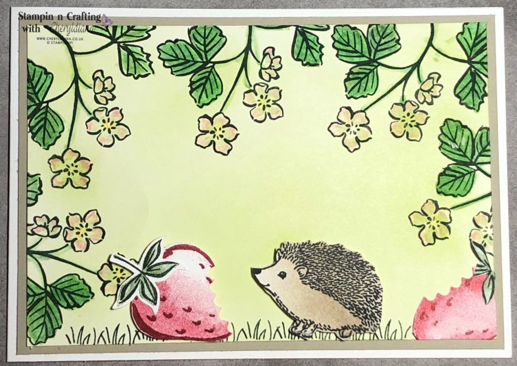 Photo of finished Hedgehog Card