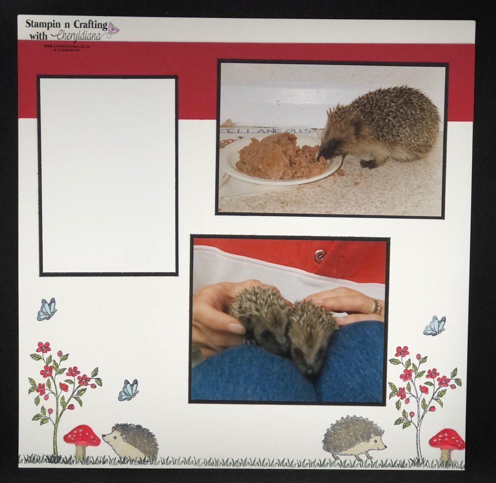 Scrapbook Layout using Blending Technique and Happy Hedgehogs stamp set