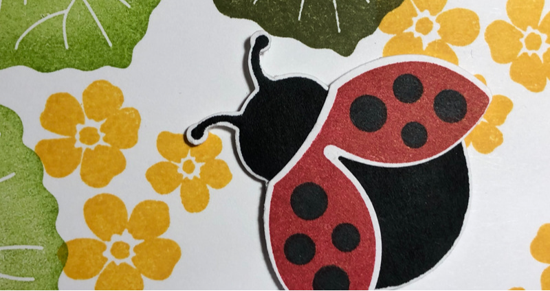 Ladybird Thank You Card