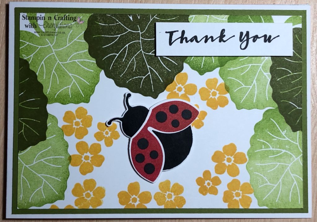 Photo of first Ladybird Thank You card