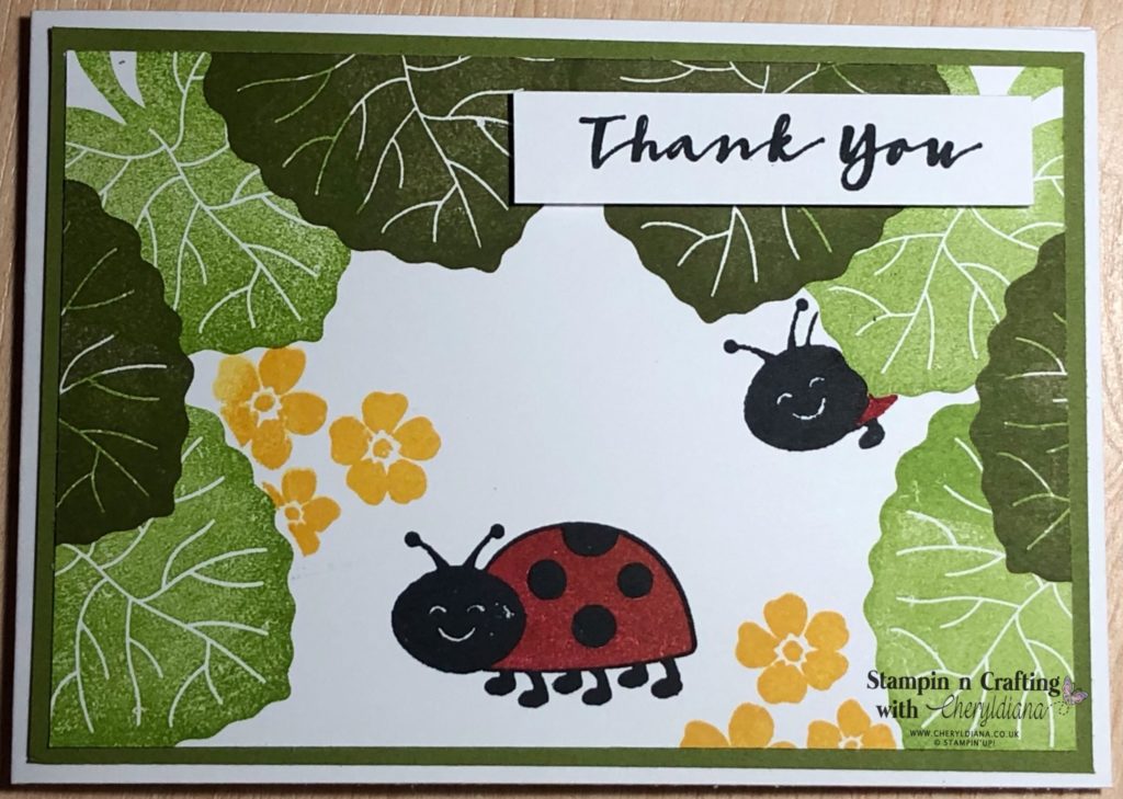 Photo of finished Ladybird Thank You cards