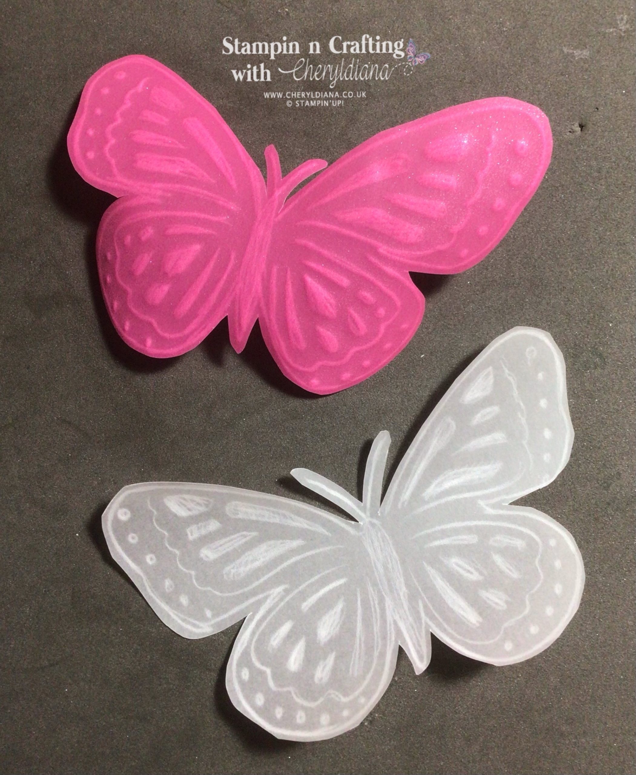 Photos showing you both sides of the finished vellum butterflies.