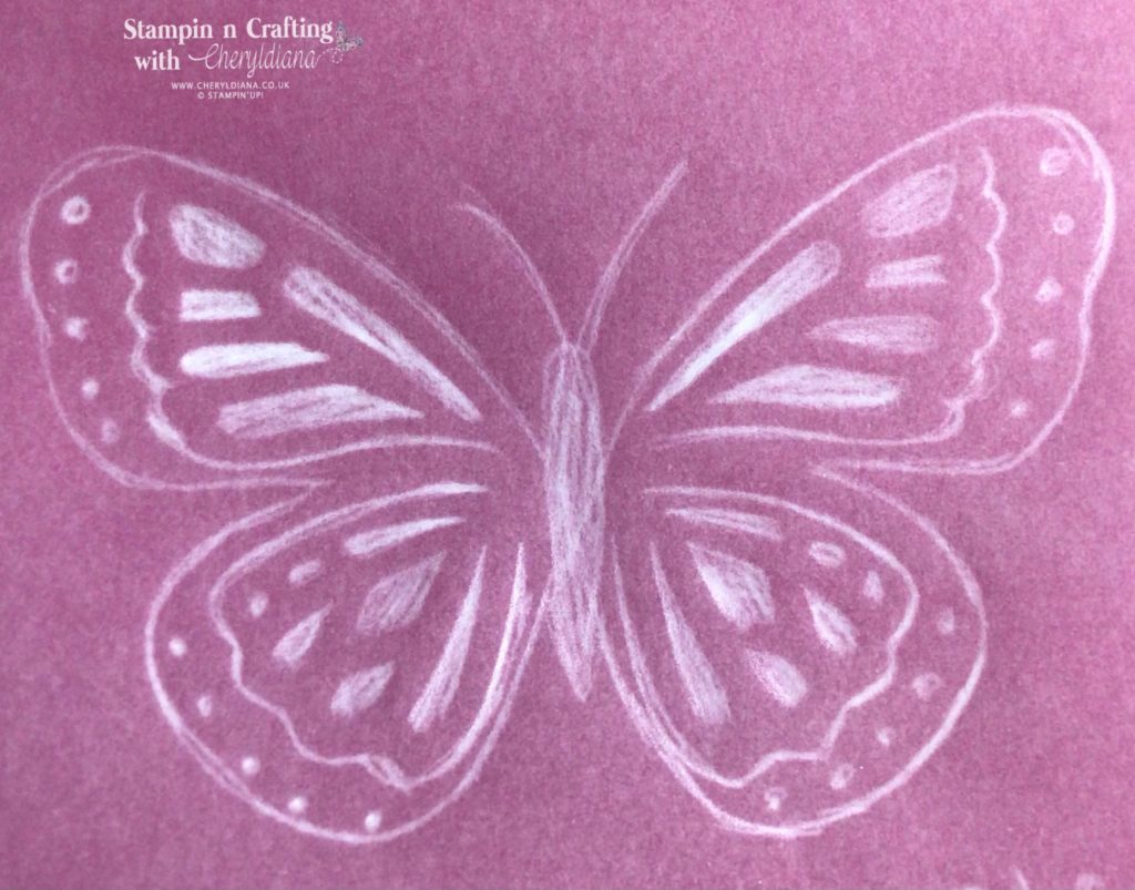 Photo showing design of vellum butterfly used to make a scrapbook layout.