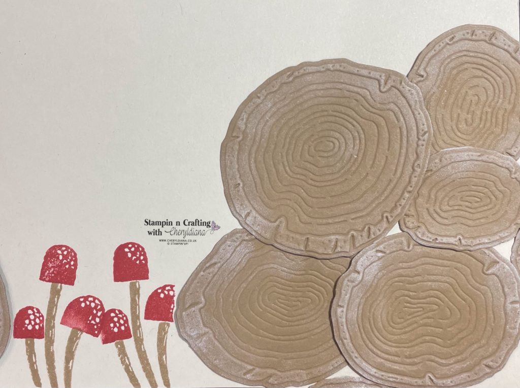 Photo of logs and mushrooms for my scrapbook layout using autumn colours