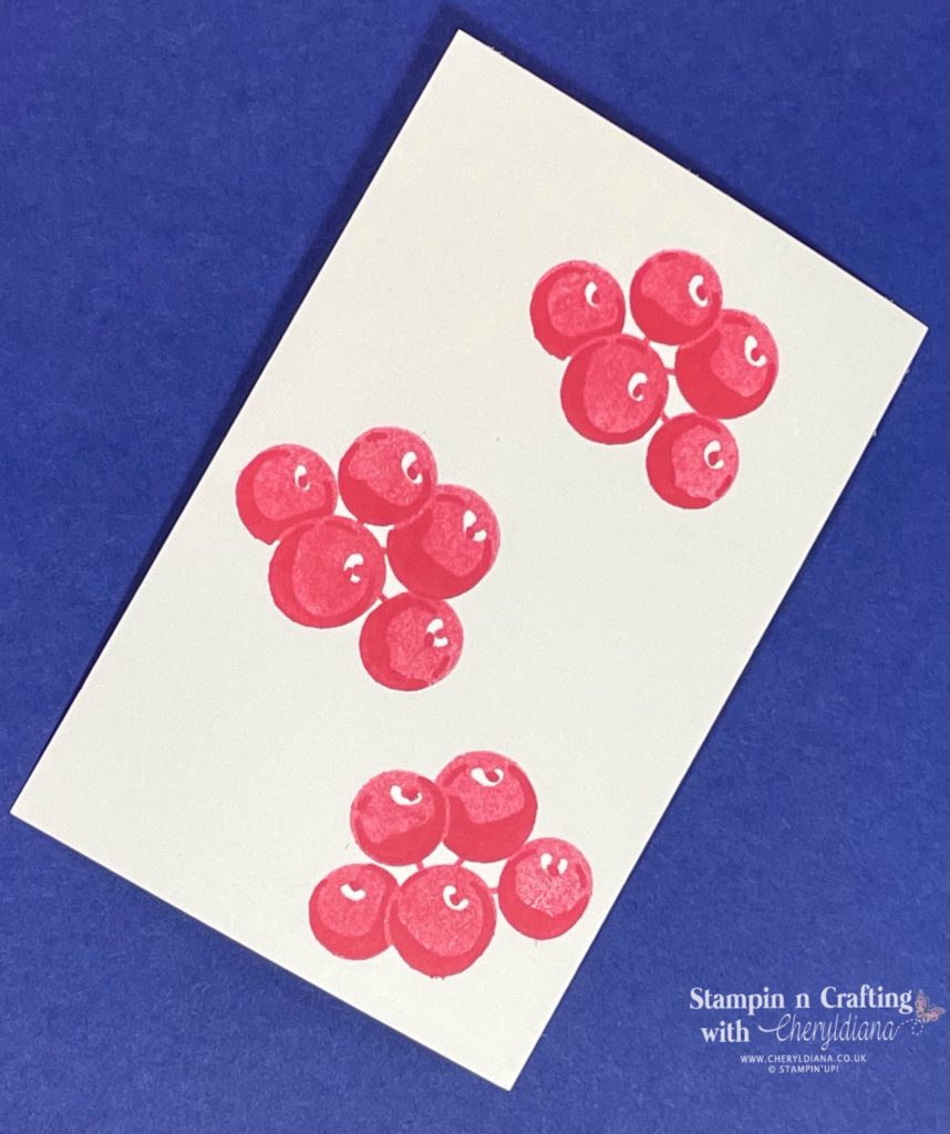 Photo showing you the stamped berries for my Alternative Colours for a Christmas Card.
