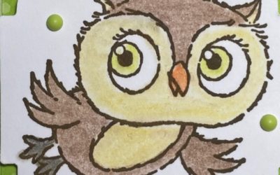 Hoot Hoot Owl Cards