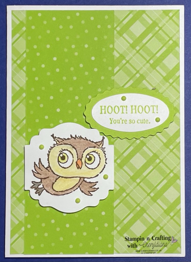 Photo of finished Hoot Hoot Owl Card 2