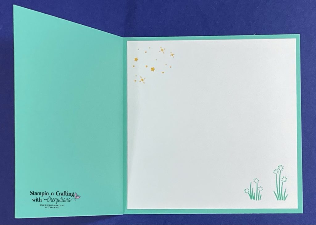 Photo of inside of Book Fold card