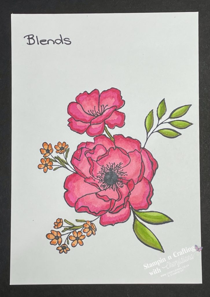 Stamped image coloured in Stampin' Blend Combos showing you various ways to colour in
