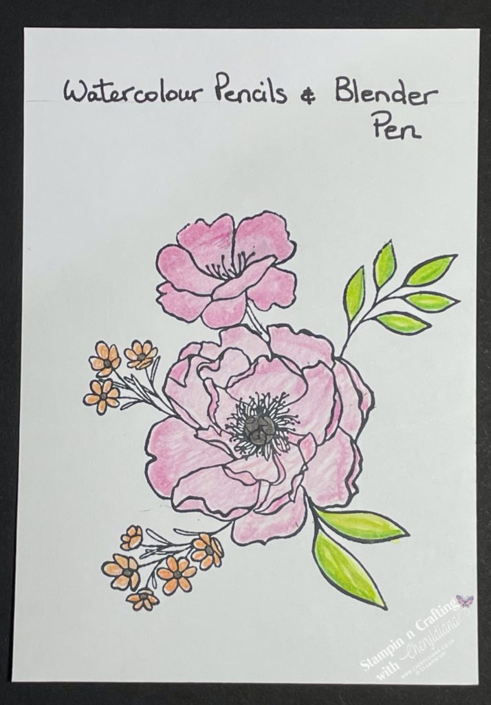 Stamped image coloured in using Watercolour Pencils and Blender Pen showing you various ways to colour in