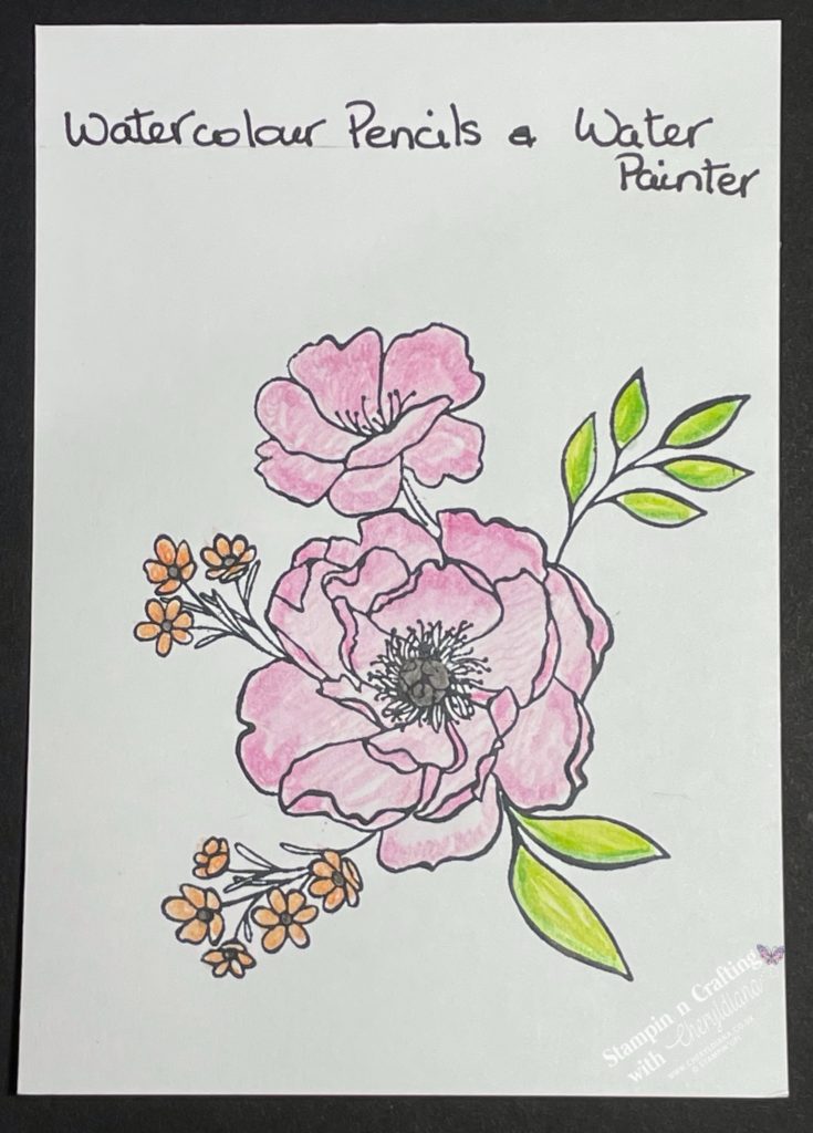 Stamped image coloured in using Watercolour Pencils and Water Painter showing you various ways to colour in