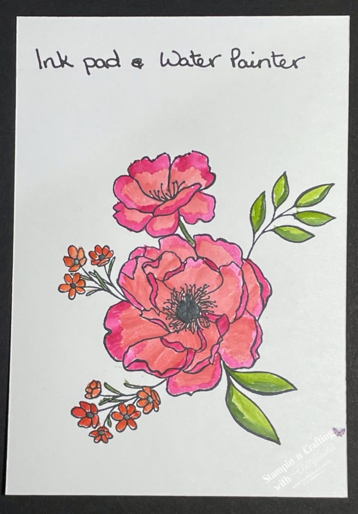 Stamped image coloured in using Ink Pad and Water Painter showing you various ways to colour in