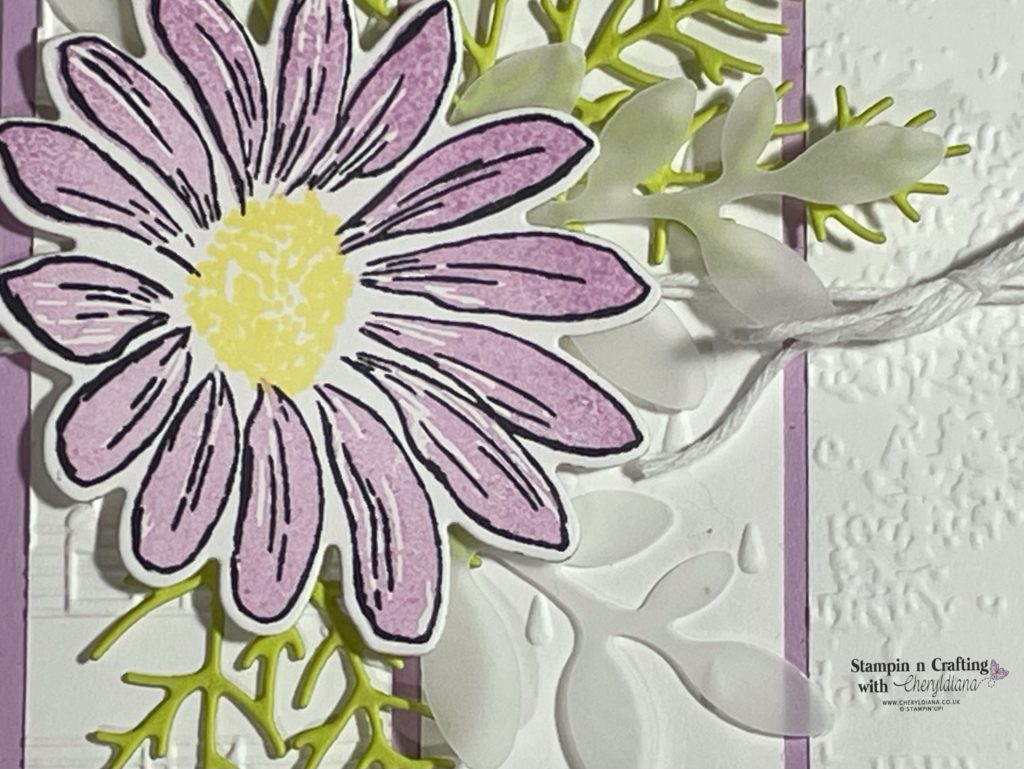 Photograph of die cut flower and leaves on my embossed Birthday Card