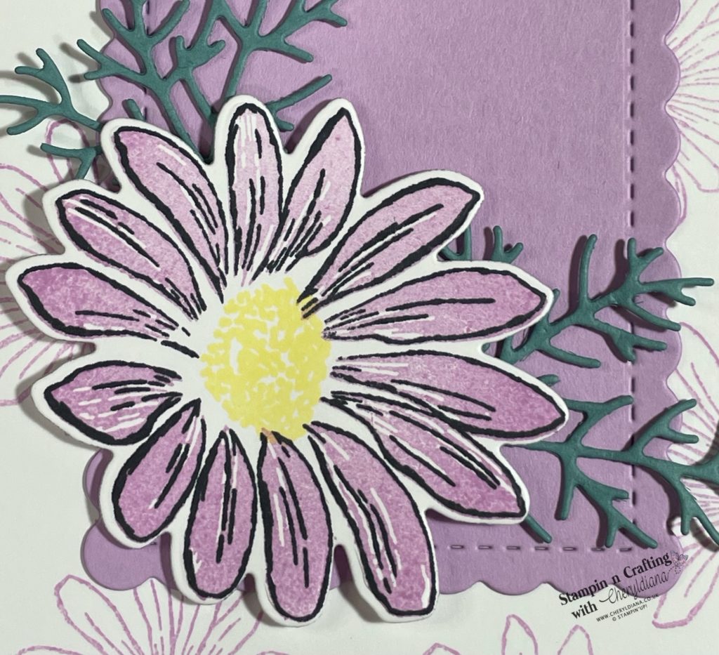 Close up photo of the large die cut daisy for my belated birthday card.
