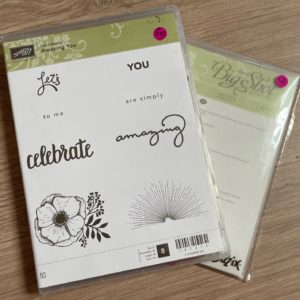 Amazing You stamp set and matching Celebrate You Thinlits