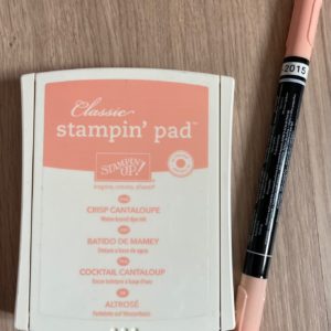 Crisp Cantaloupe ink pad and Stampin' Write Marker