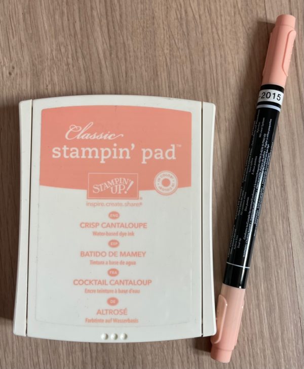 Crisp Cantaloupe ink pad and Stampin' Write Marker