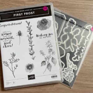 First Frosts stamp set and matching Frosted Bouquet dies