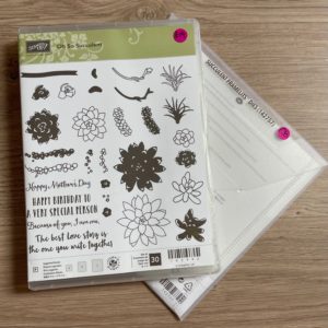 Oh So Succulent stamp set and matching Succulent dies