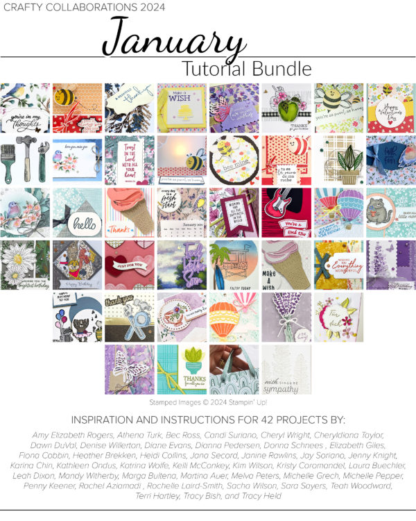 Snap shots of January Tutorial projects