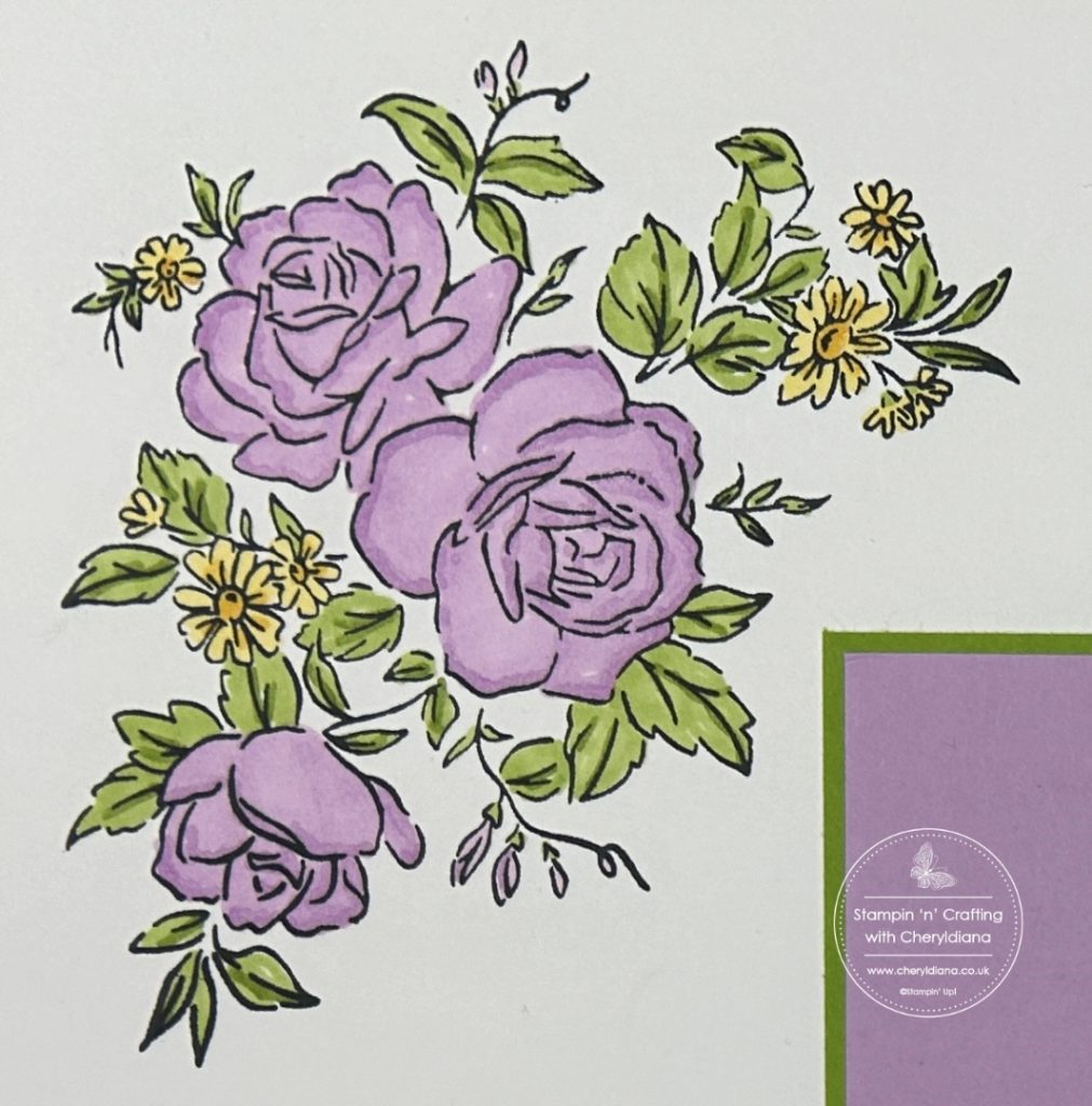 Photograph showing how I coloured in the stamped image for my scrapbook layout using 3 colours