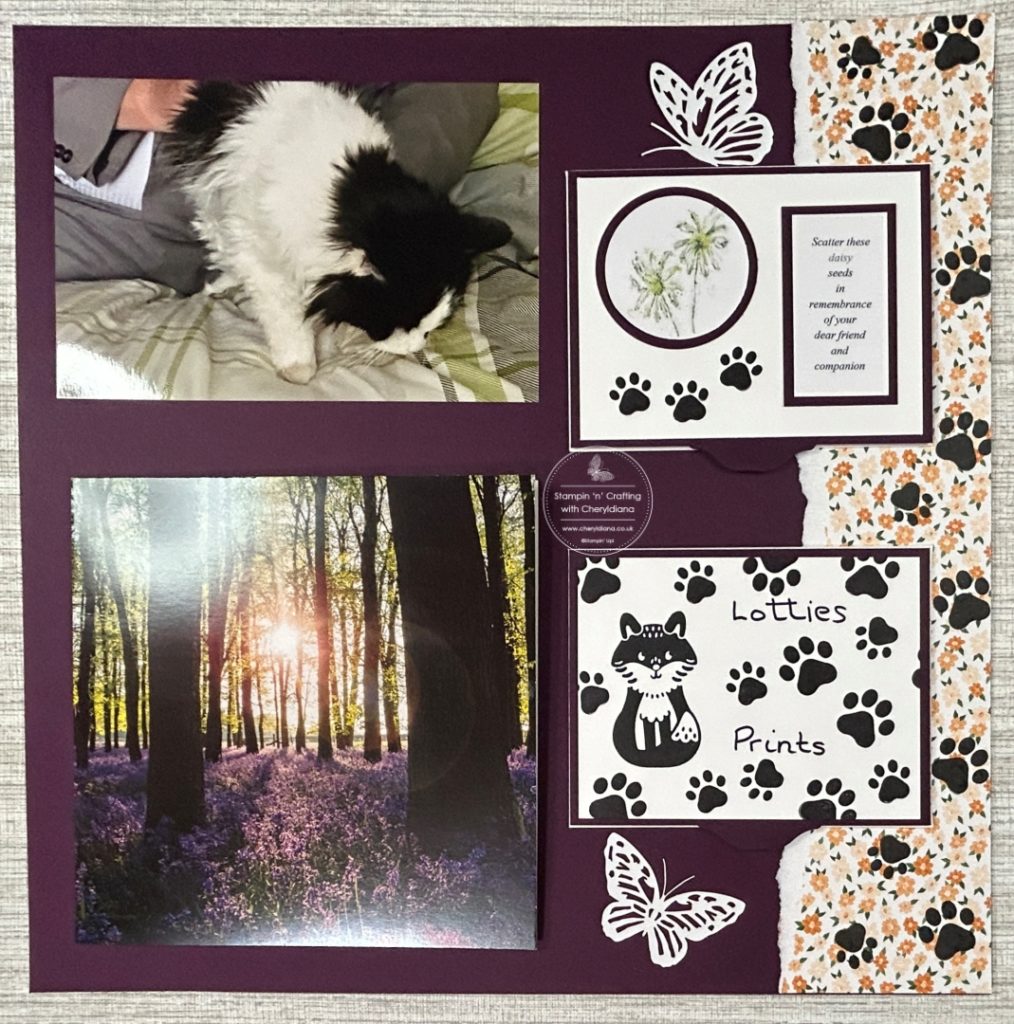 Photograph of Page 2 of my Combo Scrapbook Layout with Pockets