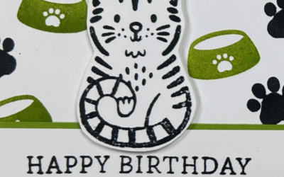 How to make a Pretty Birthday Card using Simple Stamping