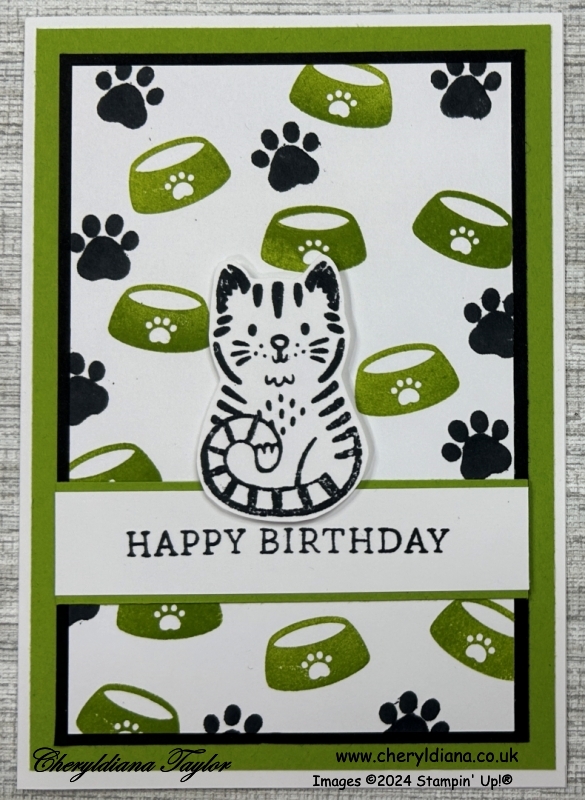 Photograph of my finished pretty birthday card using simple stamping.