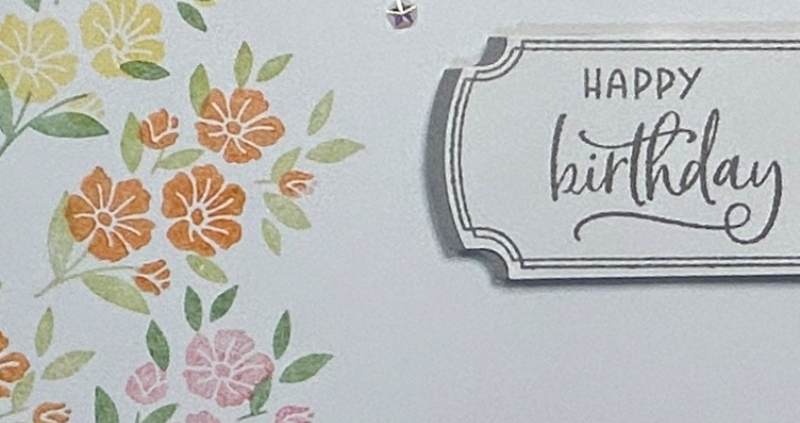 Bright Springtime Cards For Any Occasion