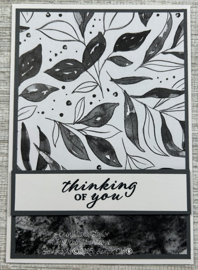 Photo of the second 2 Monochrome Sympathy Cards