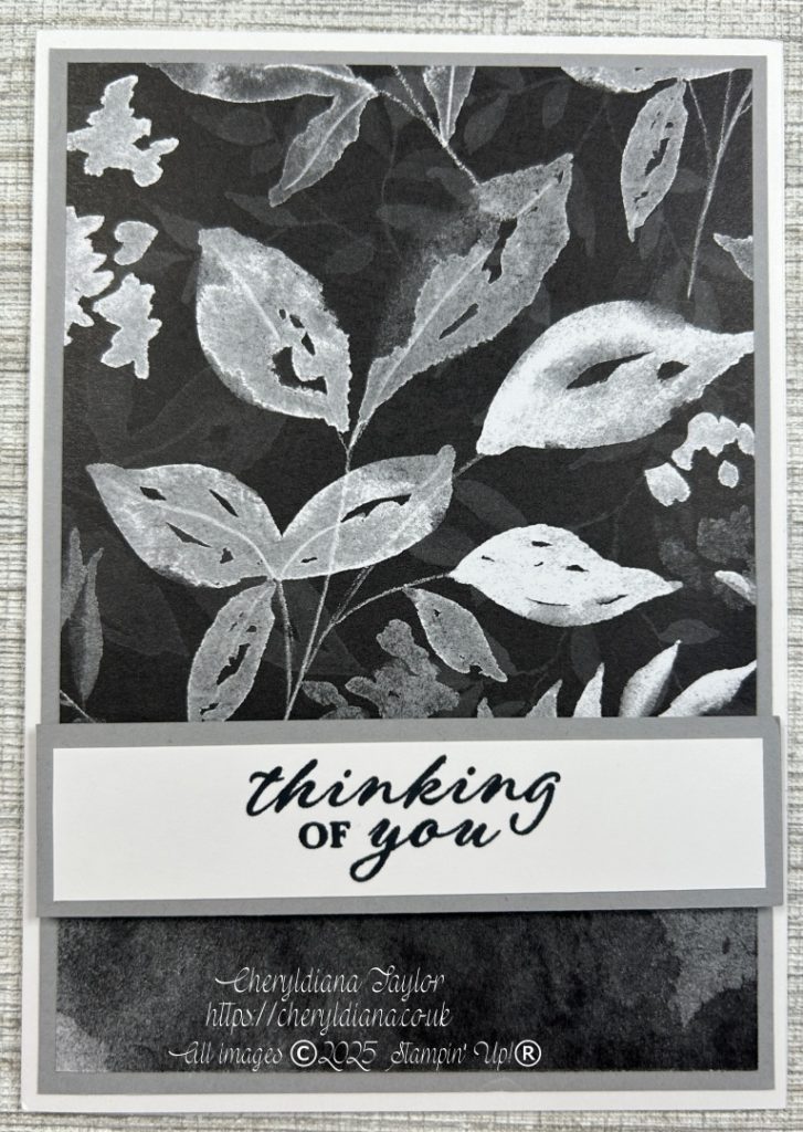 Photo of the first 2 Monochrome Sympathy Cards