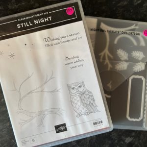 Still Night & Night Owls Thinlits Dies - Clear Mount Bundle