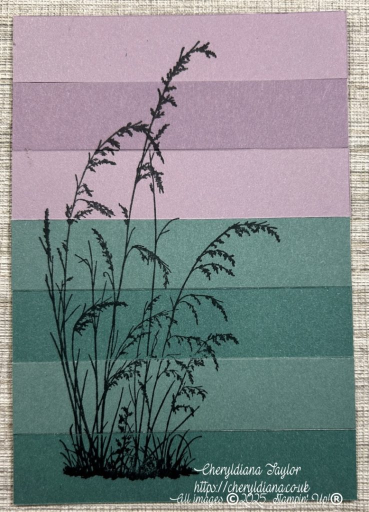 Photograph of the Two-Tone and stamped card front of my simply stunning Sympathy card.