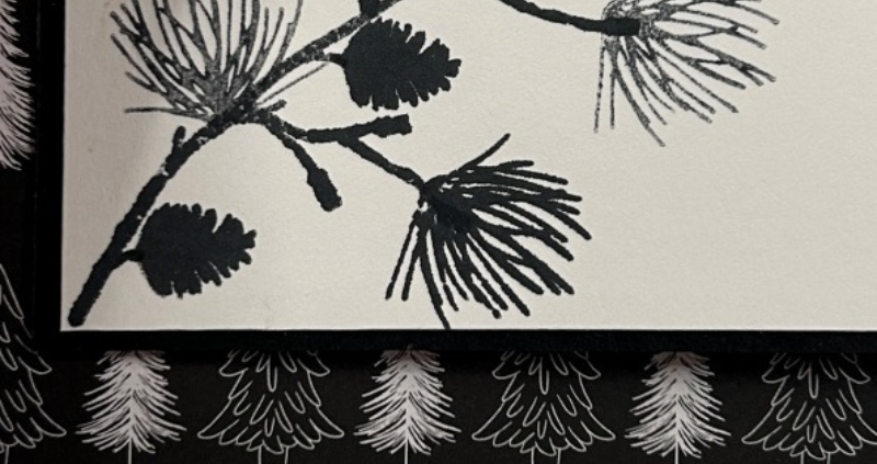 Easy Fancy Black & White Christmas Card