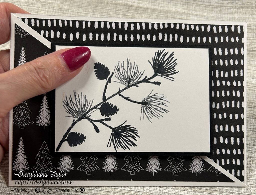 Photograph of finished Fancy Black & White Christmas card.