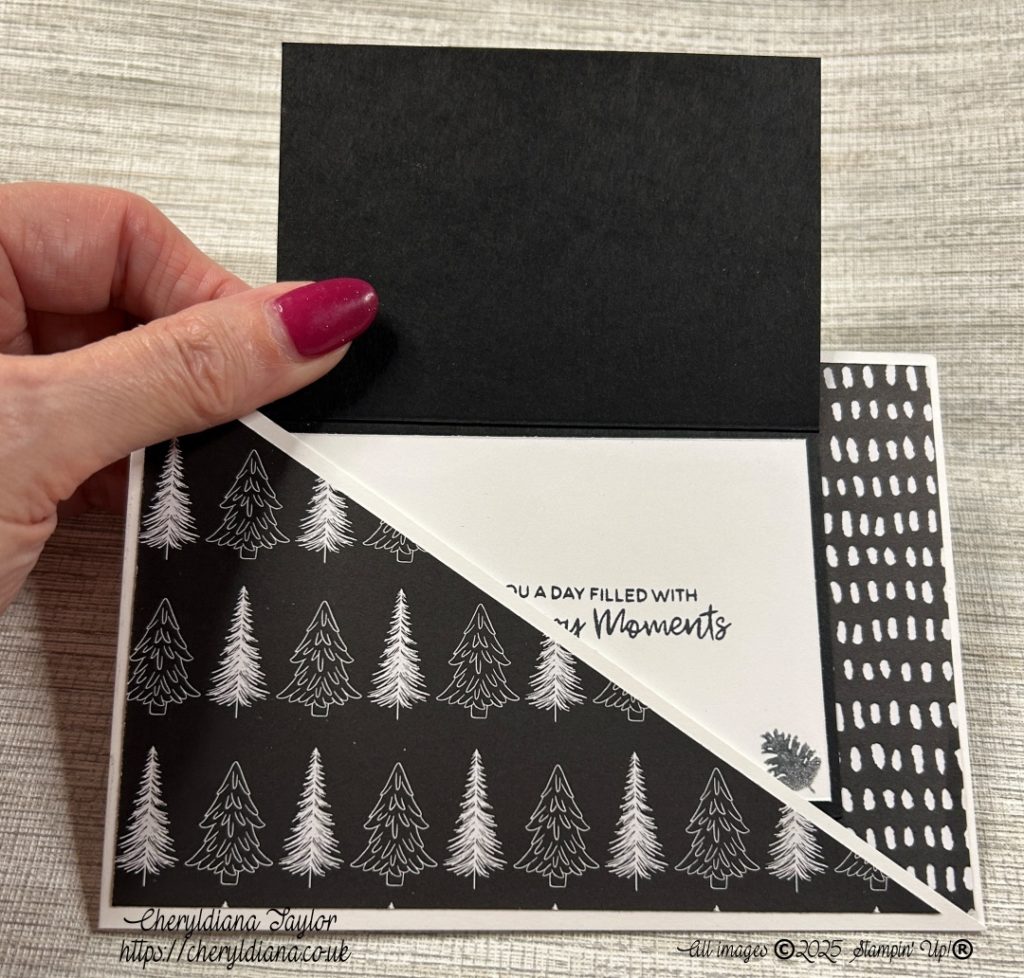 Photograph of front Fancy Black & White Christmas card.