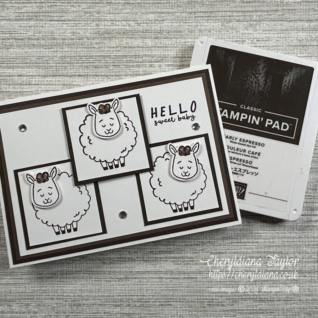 Spring Lamb New Baby Cards - Neutral